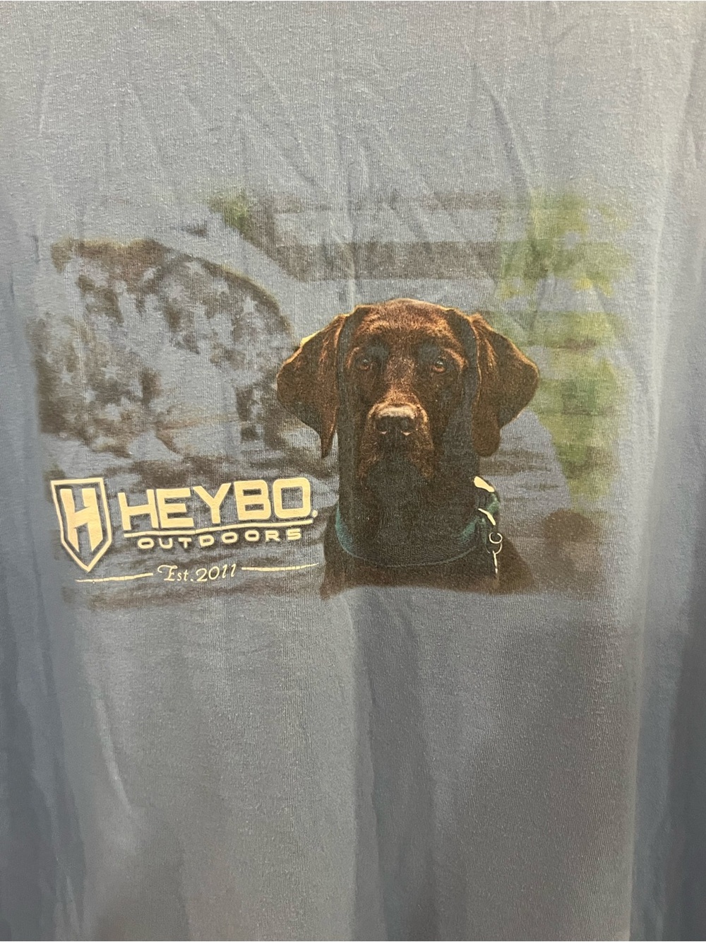 Heybo Outdoors Men's Short Sleeve Tee in Blue with Dog Graphic